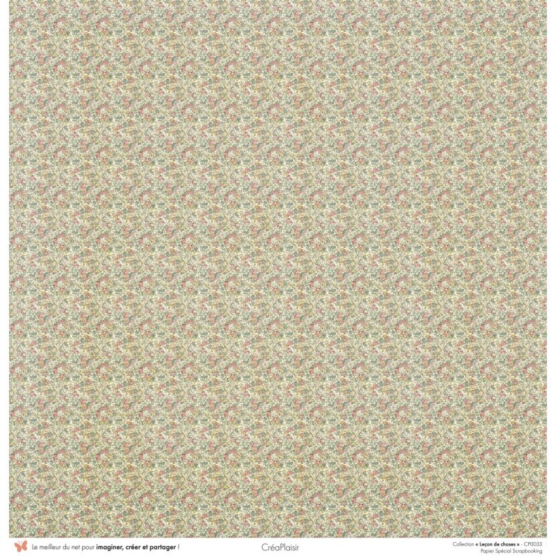 Set papiers Leçon de choses - 6 papiers 30,5x31,5 cm + 6 papiers 12x30,5cm