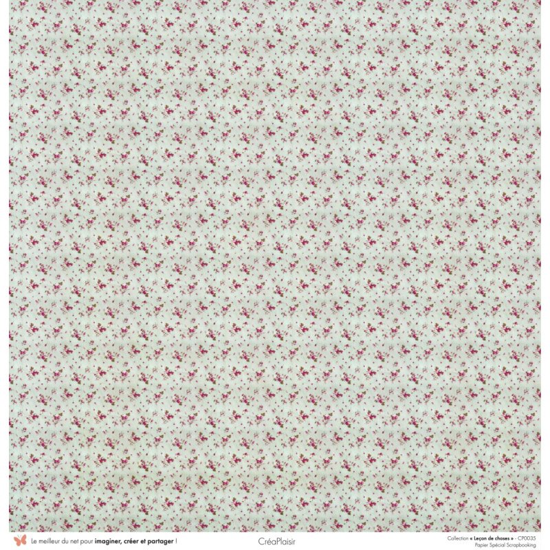 Set papiers Leçon de choses - 6 papiers 30,5x31,5 cm + 6 papiers 12x30,5cm