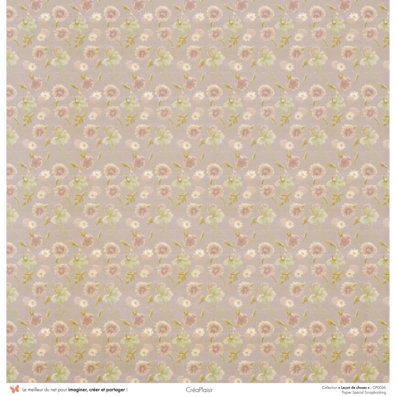 Set papiers Leçon de choses - 6 papiers 30,5x31,5 cm + 6 papiers 12x30,5cm