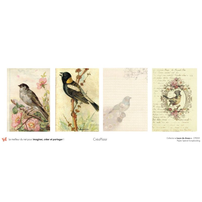 Set papiers Leçon de choses - 6 papiers 30,5x31,5 cm + 6 papiers 12x30,5cm