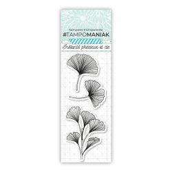 Set de 3 tampones transparentes Ginkgo biloba - 13x5,5cm