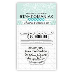 Juegos de tampones transparentes 7,5x7cm - PTM-0001