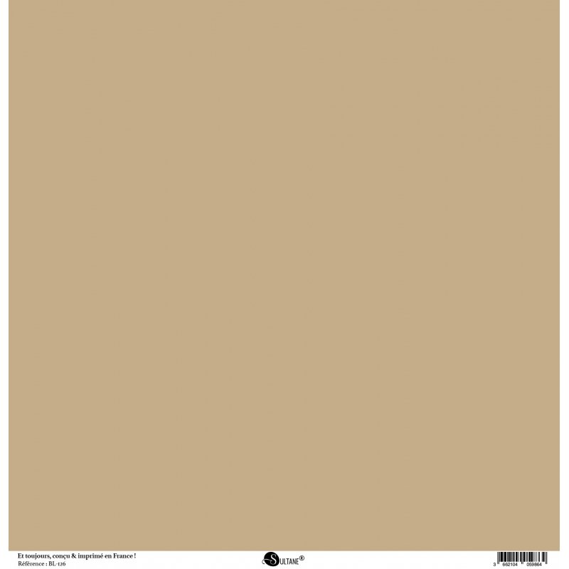 Papiers Recto / Verso - 30,5x31,5cm - Authentik - Kraft uni